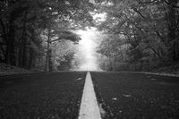 1DB6EBBA-1AF0-4EE9-9EA5-CB8F0F88427A