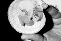 3F8C1C3D-C60D-482D-B582-BFAB5C6EDD53