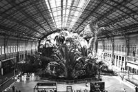 Atocha - Estación Central de Trenes de Alta Velocidad | Atocha - Central High Speed Train Station