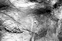 Reproducción Cuevas de Altamira (detalle), Cantabria, España | Museo Arqueológico Nacional