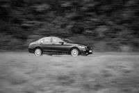 leon-trilk-WP0WuLpQbEU-unsplash