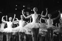 michael-afonso-nZU76qWy-T8-unsplash